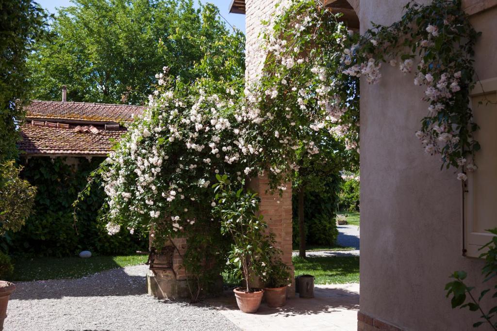 Bed and Breakfast Villino Di Porporano Parma Exteriér fotografie